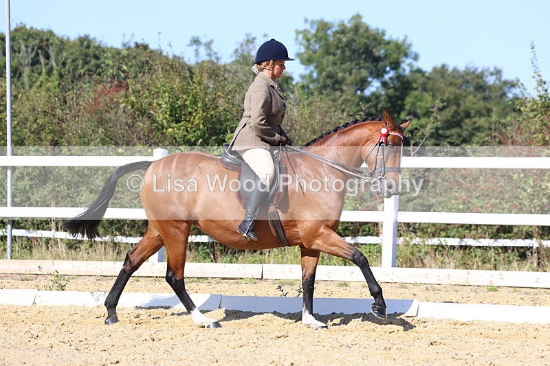 3E7A5708 - Class 10: Riding Horse