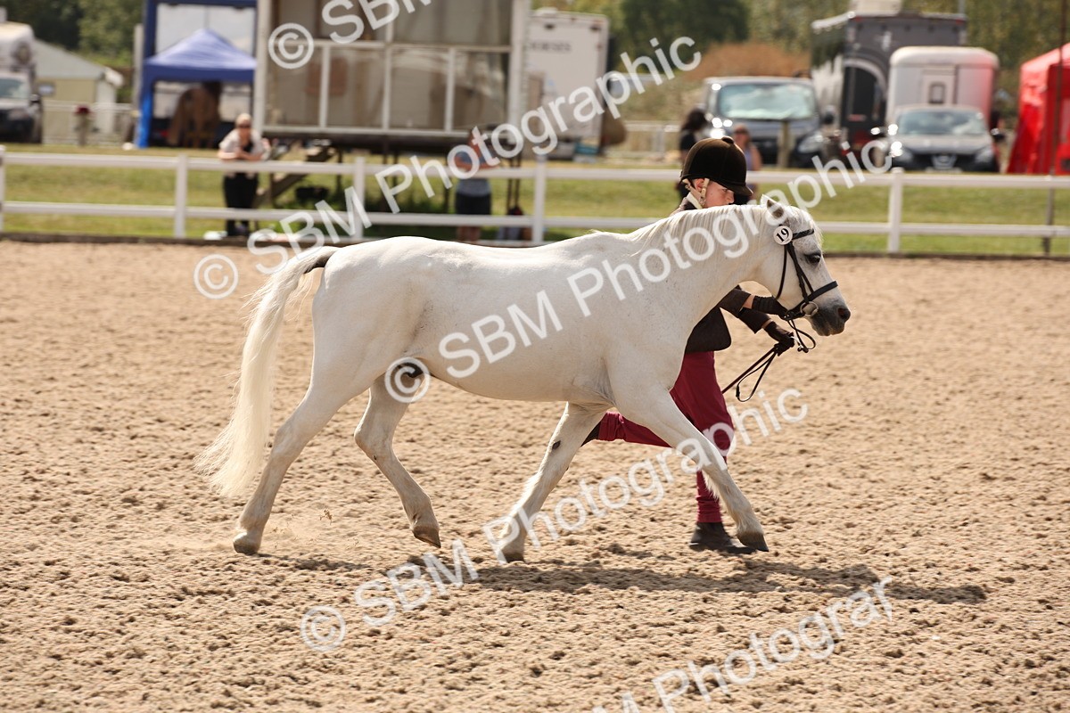SBM_04595 - Class 20 IH Veteran