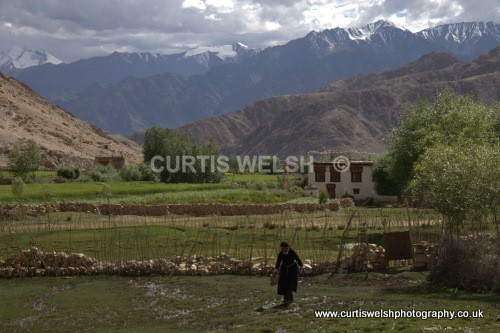 131 - LADAKH - INDIA