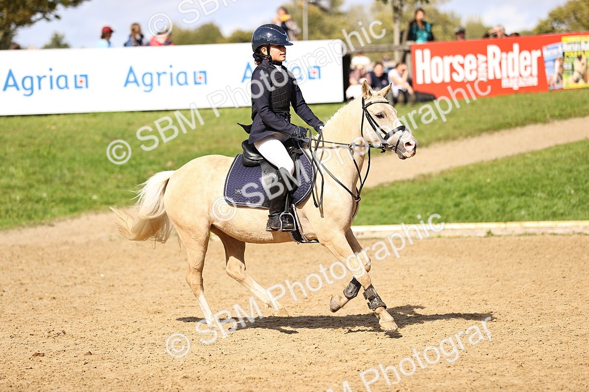 SBM_46089 - J9 - Junior Pony 70cm Championship
