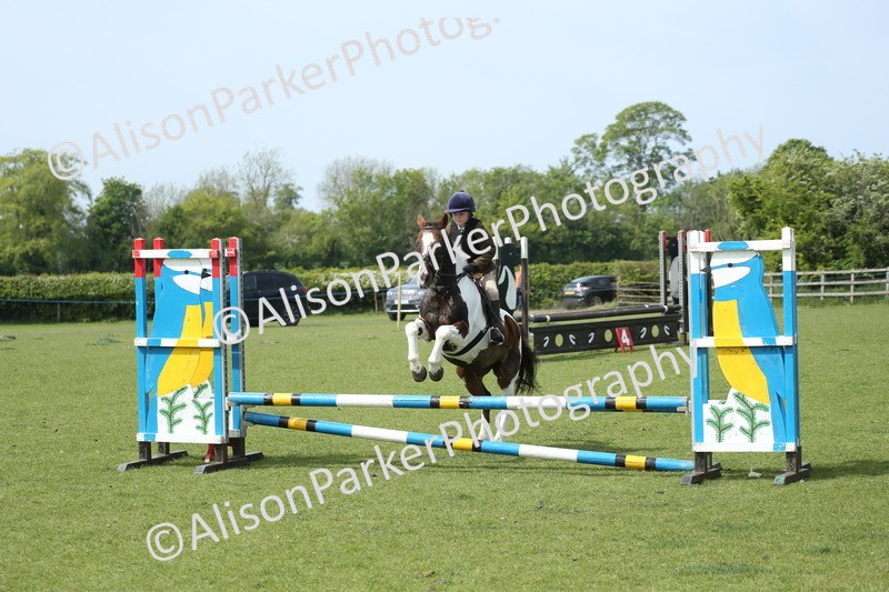 20260426-1774 - Class 14 - Novice 60cm