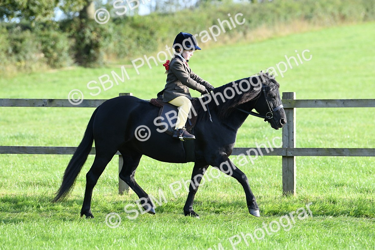 SBM_54022 - S23 - 1st Ridden Mountain & Moorland Pony