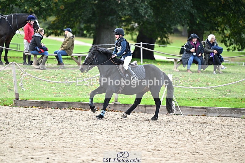 251005A-135317-04202 - Cls 09 Nov 80-85cm