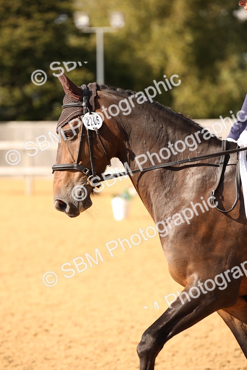 SBM_28134 - D11 - Small Tour Championship - Prelim 13