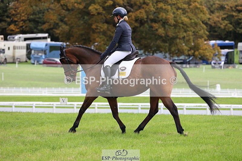 251023A-114924-03417 - E-384-Holly.Horton