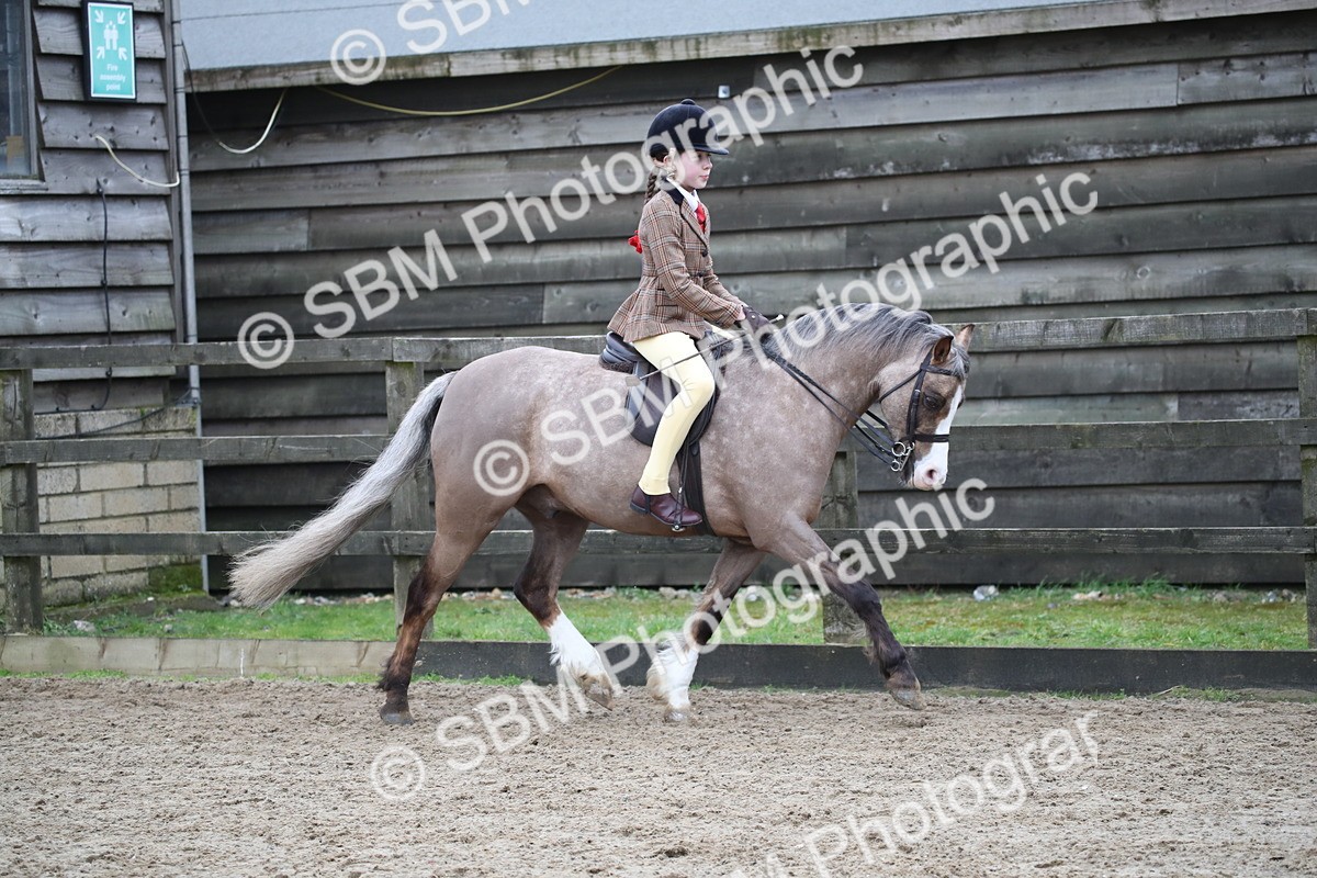 SBM_005913 - Class 10-13 - RIHS Small Large Breeds