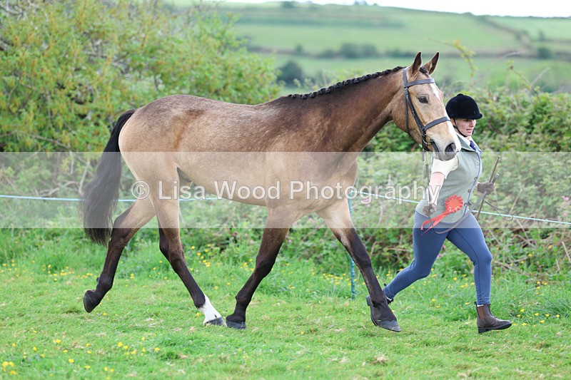 3E7A0828 - In Hand Championship