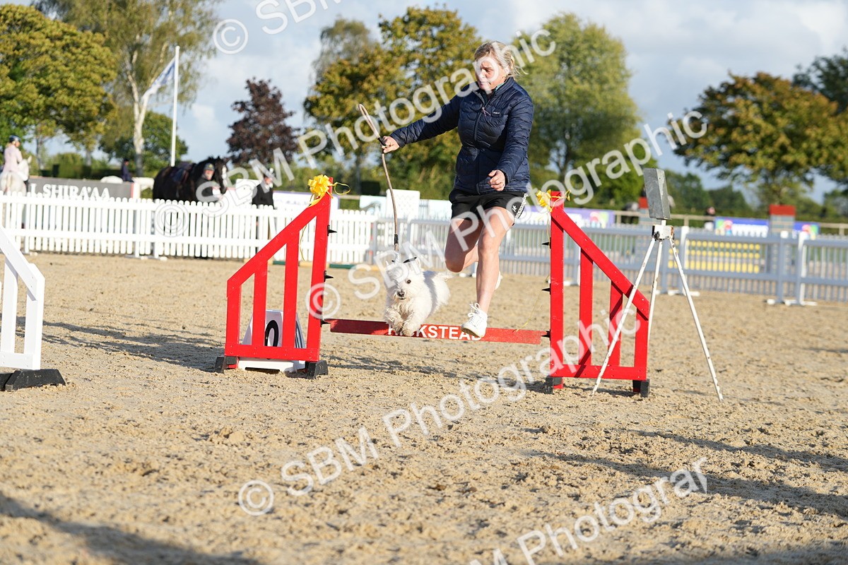 SBM_29422 - J44 - Horse & Hound Open 70cm