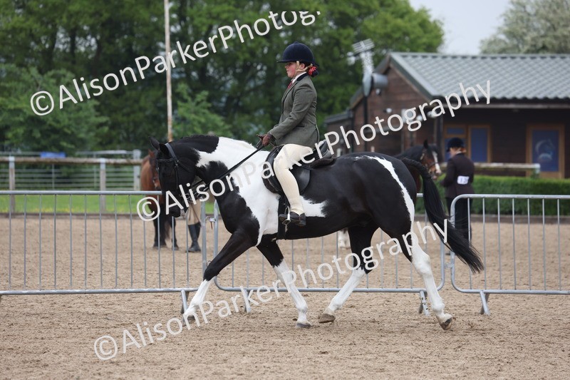 20260504-1033 - Class 14 - Cob and Hunter
