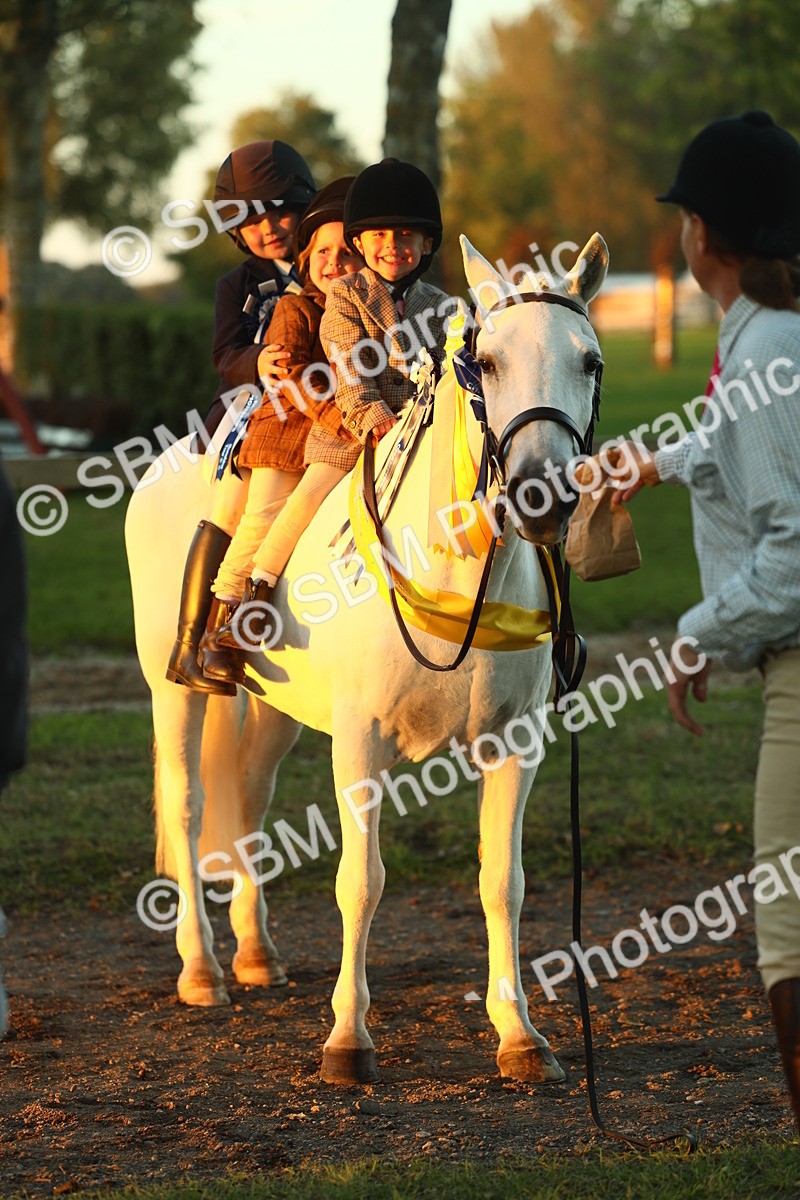SBM_56750 - Fun & Versatile Supreme Championship