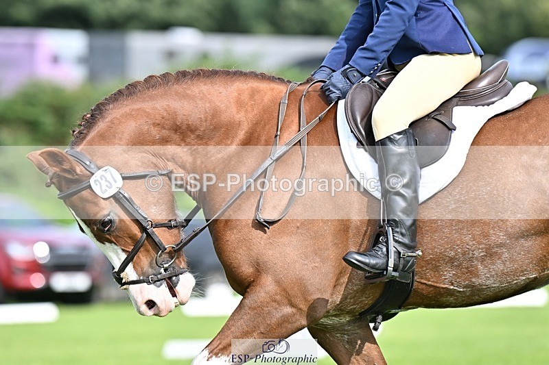 230826-100615-16372 - Sections A & B 10 to End