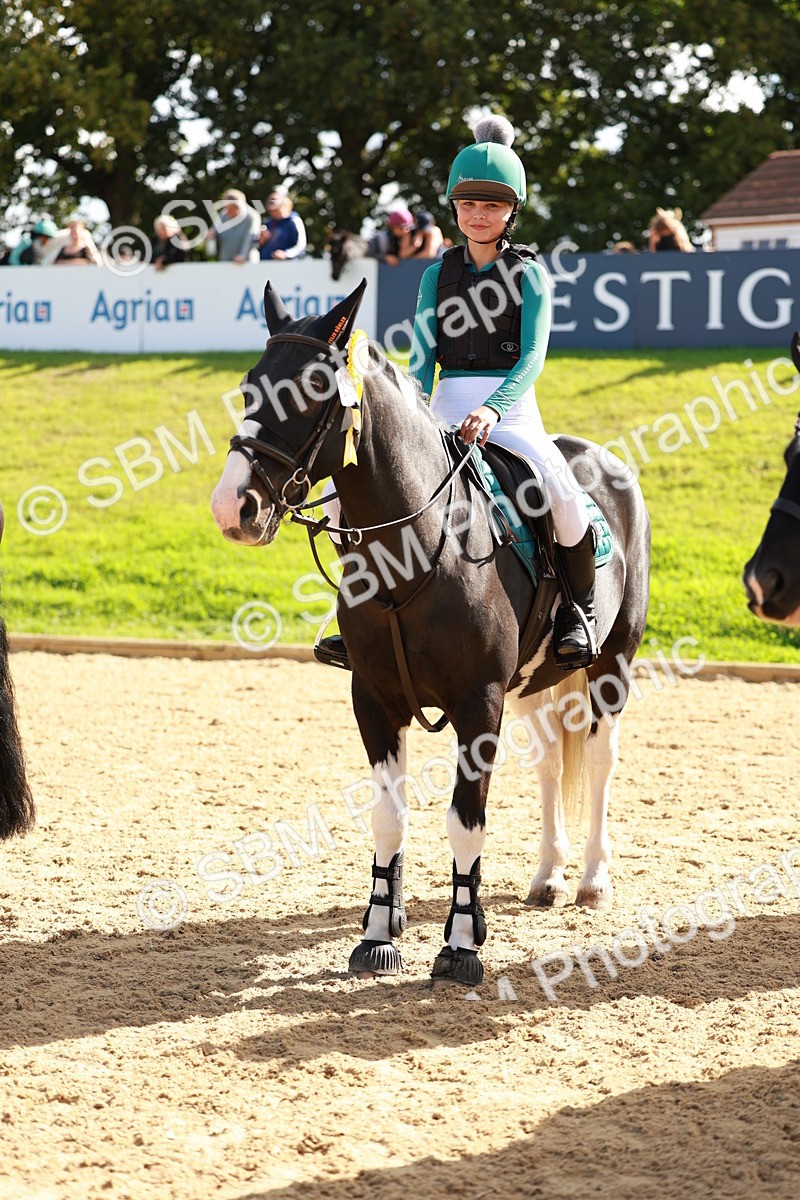 SBM_17420 - E4b - Eventers Challenge 60cm Open
