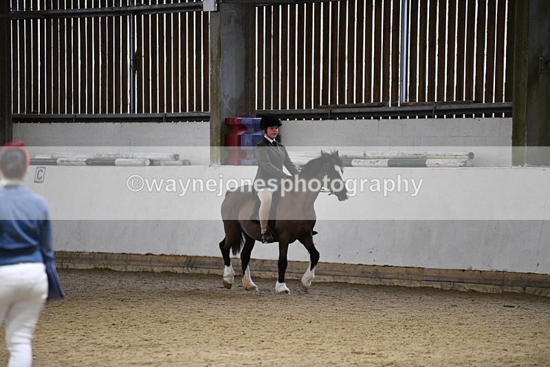 WJ5_8442 - Class 14 Novice Ridden/Rider