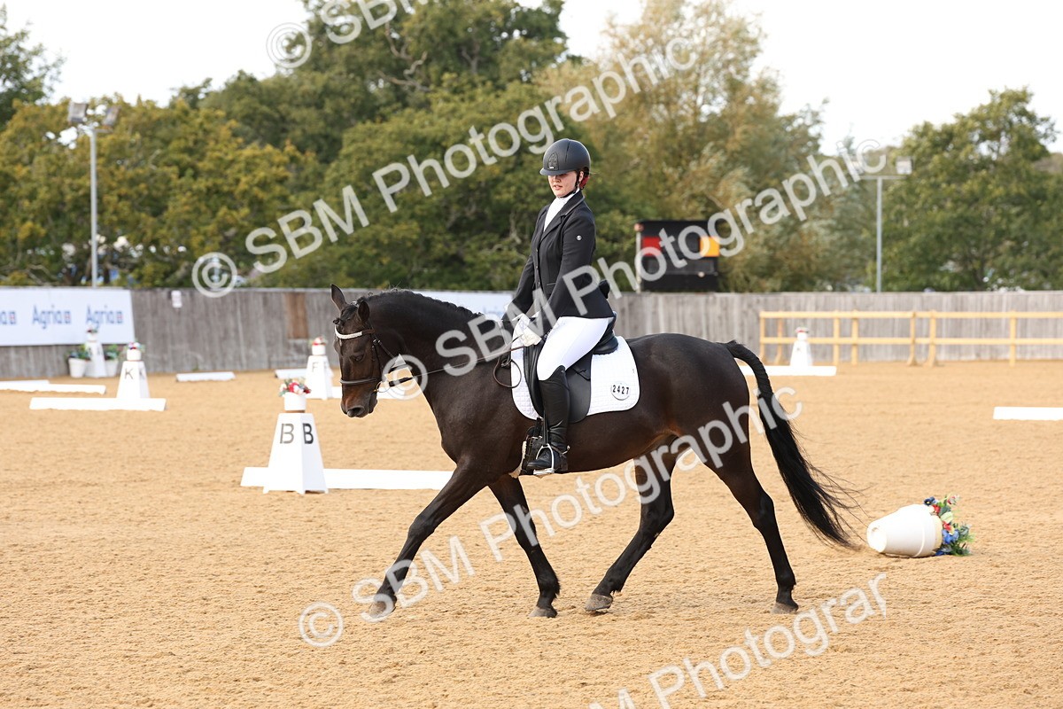 SBM_24649 - D17 - Grand Tour Championship Novice 3