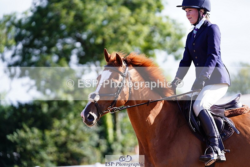 240809A-090210-00129 - Dressage Competition