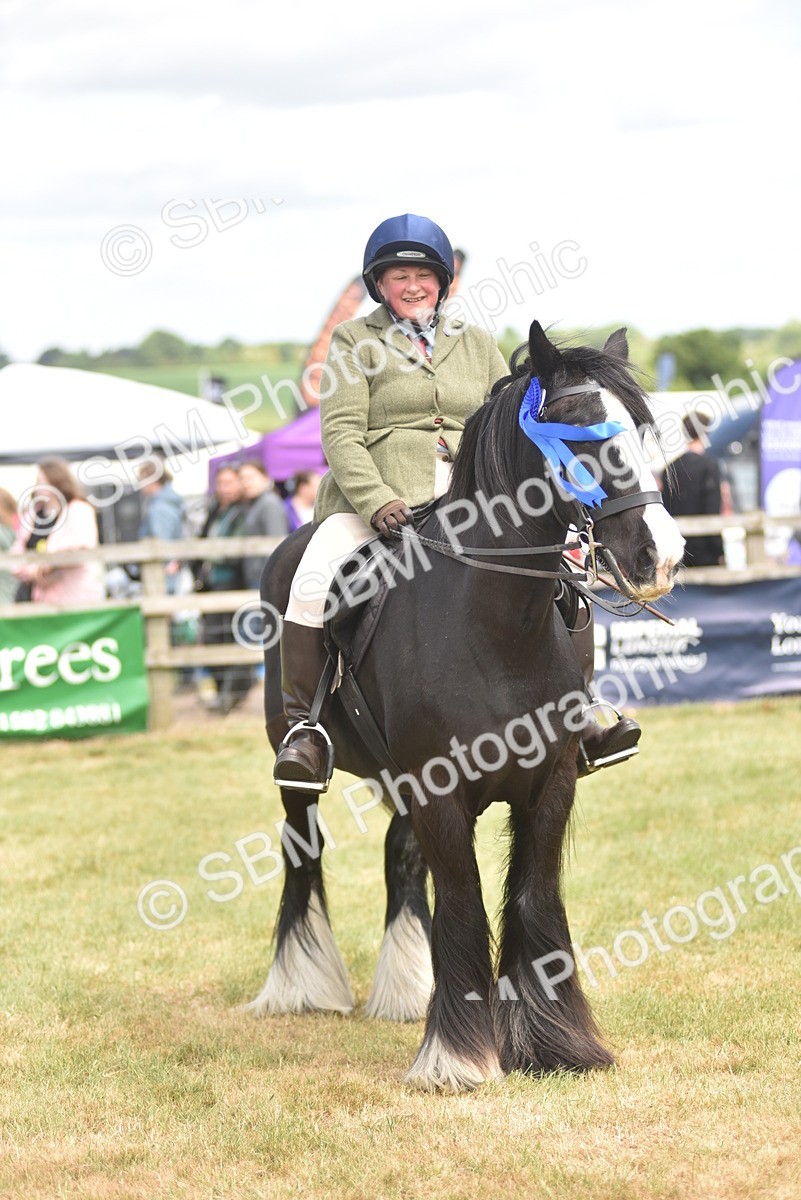 SBM_16003 - Class 117-122 - SSADL RIHS Qualifier