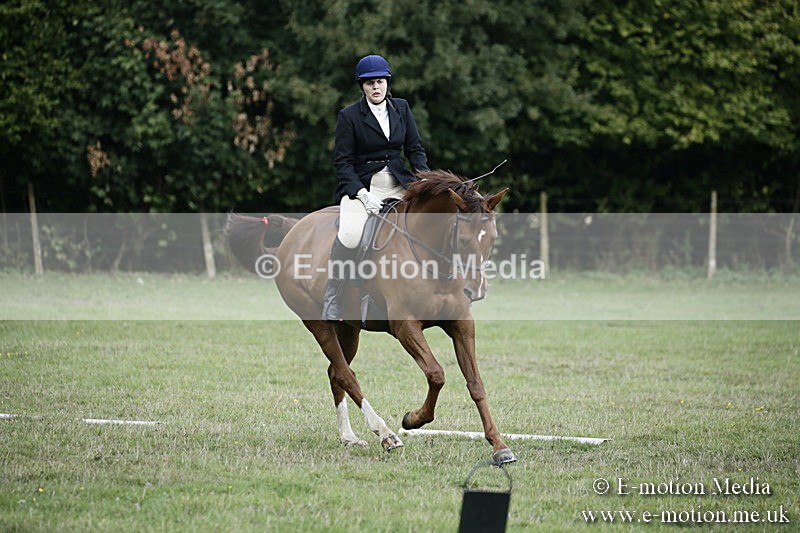 BVR090918 26 - BVRC Dressage and Show Jumping 09/09/18