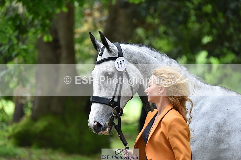 240522-172712-01619 - 287-HEY_DIXIE-Sammy_Harfield