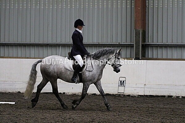 SIAL4002 - CAbin Dressage 5th july 2025