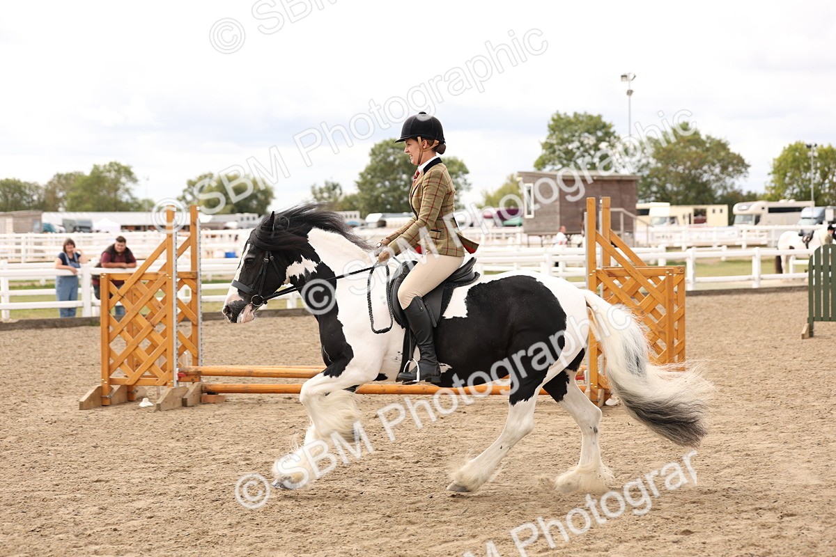 SBM_05129 - Class 56a -  Style & Performance - 50cm (15-19)