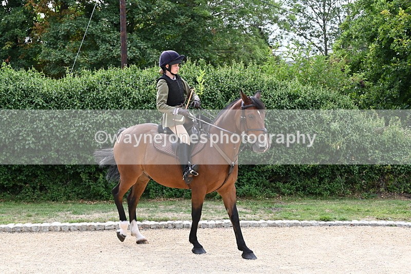 WJ6_3475 - Berks & Bucks - The Old farmhouse - Hound Exercise 20-08-25