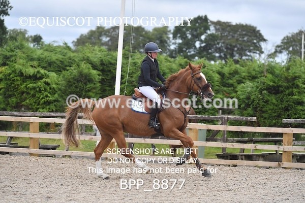 BPP_8877 - CLASS 6 Senior Newcomers/ 1.10m Open