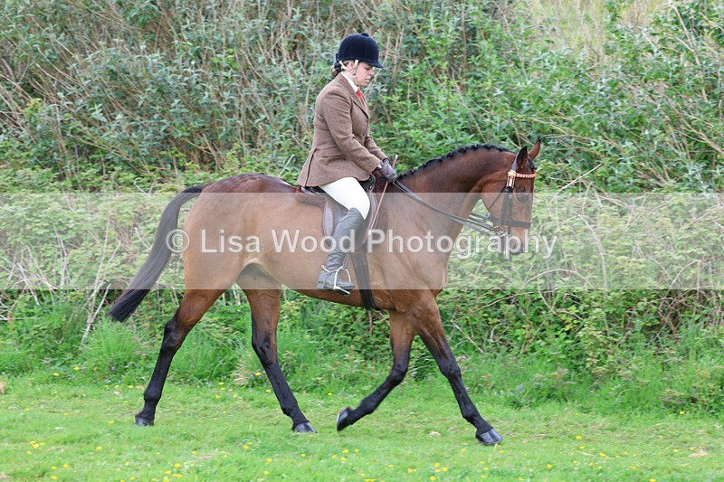 3E7A1938 - Class 10: Ridden Sports Horse