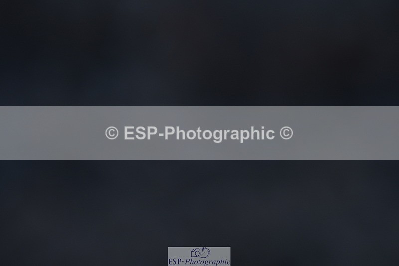 231105A-102615-00104 - UnAf Prelim 12