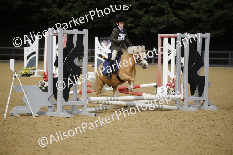 20250622-1542 - 40cm