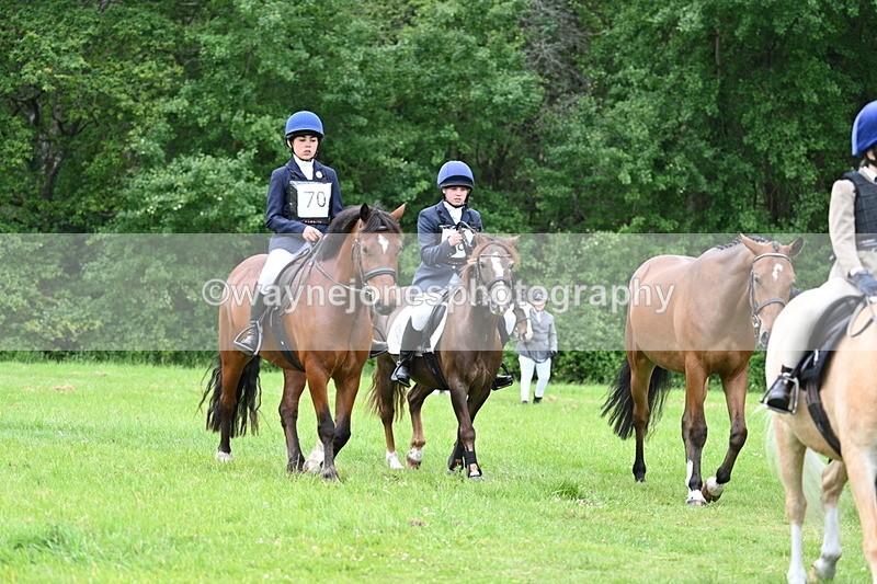 WJ7_4284 - Class 14A Handsome Gelding