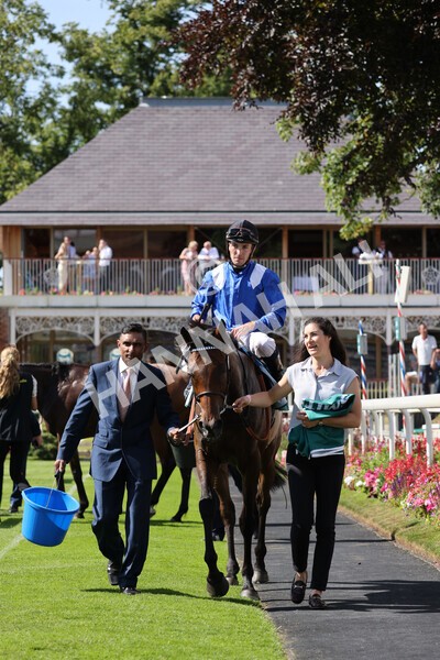 yr09072022r5-45 - Race 5 4.05pm John Smith's Cup