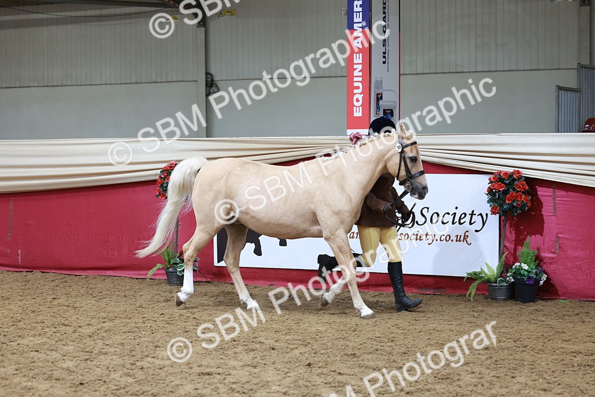 SBM_17399 - Class 951 - M&M IH Supreme Final