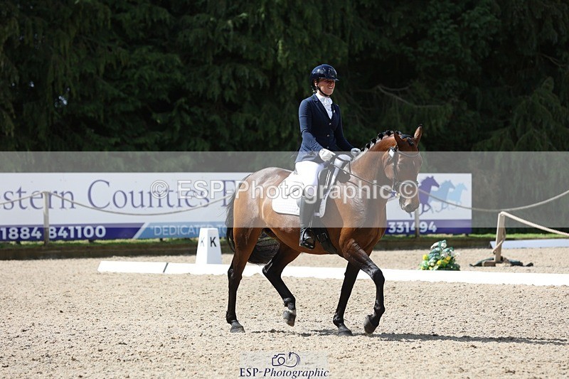 230812-113621-03803 - Cls 5 Novice Bronze 11.15 to 12.50 break