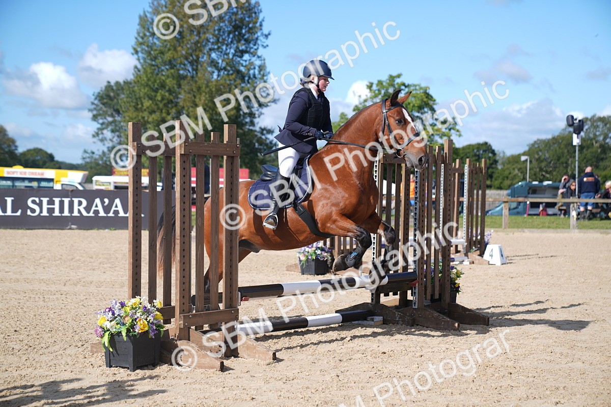 SBM_02379 - J54 Clear Round 45cm