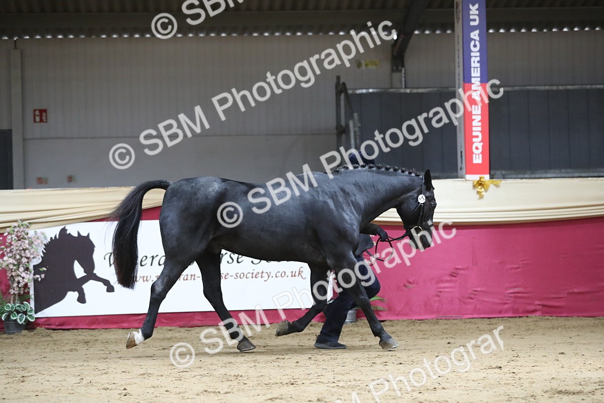 SBM_04355 - Class 7R Regional - IH Diamond