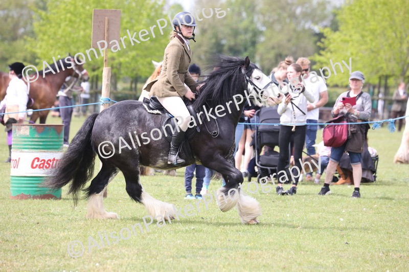20260426-2970 - Class 33 - Best Pony 14.2hh and Under