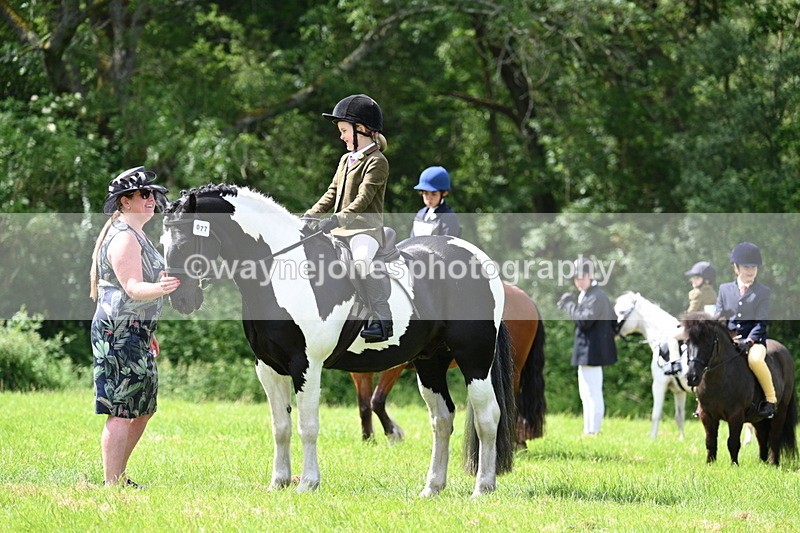 WJ7_1412 - Class 11 Condition & Turnout
