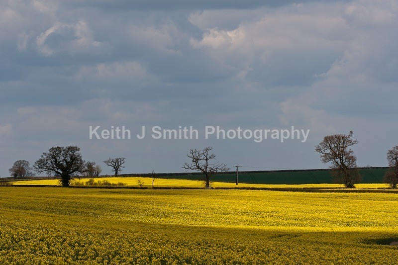 YR6M4835 - United Kindom