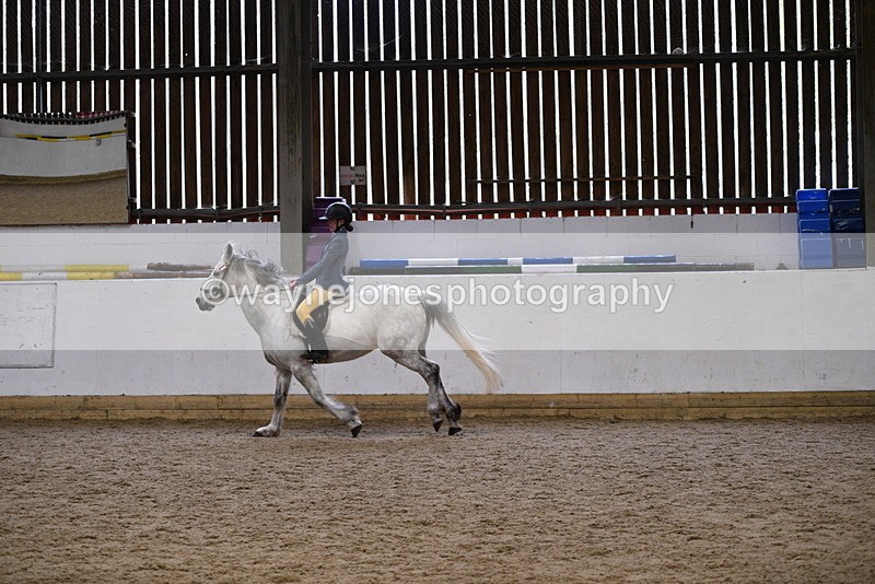 WJ5_7940 - Class 13 Ridden Part Breed