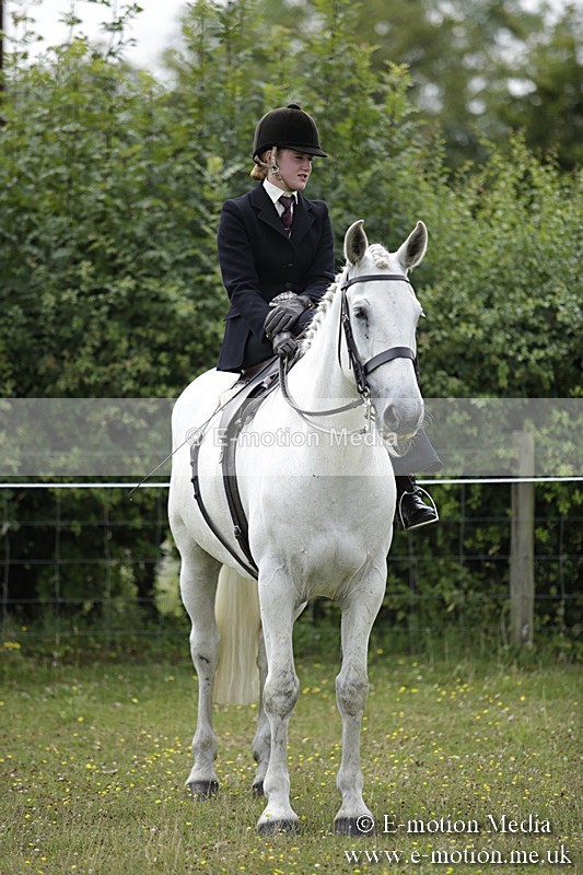 BVR160717-1998 - Side Saddle Classes 16/07/17