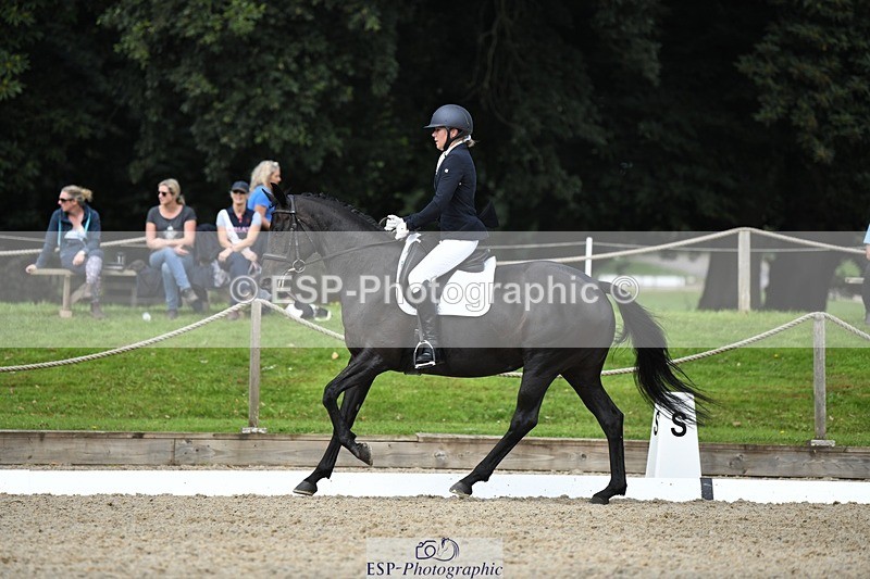 230812-113407-03654 - Cls 6 Novice Silver 10.30 to 11.55 break