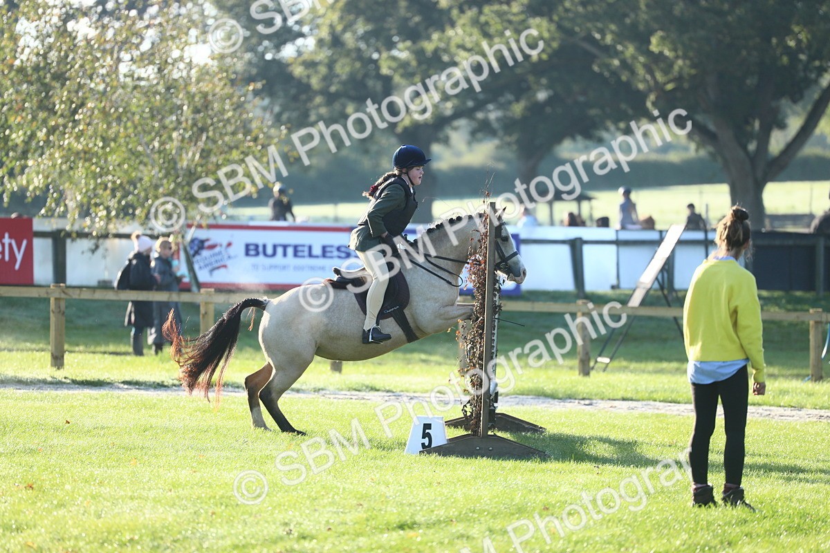 SBM_37250 - S29 - Novice & Newcomers Working Hunter Pony