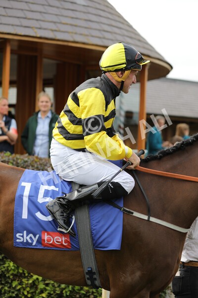 yr17082022r5-1 - Race 5 4.10pm Sky Bet Stayers Stakes