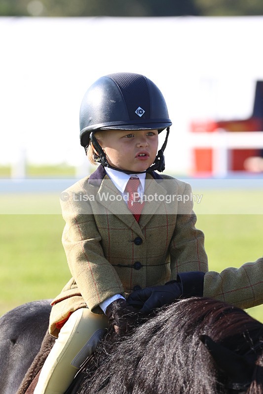 JPP_0724 - Class 16: Cornish Combination Leading Rein