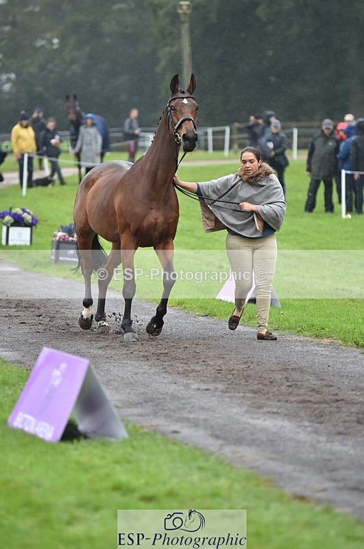 231018-121652-00178 - 025-LYRICAL.II-Harriet.Dickin-TrotUp