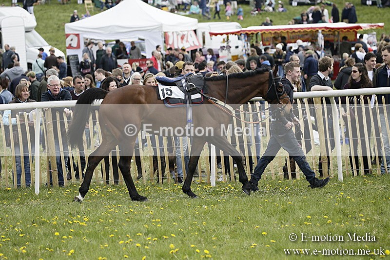 PtP 170417 206 - Old Berks Point-to-Point Lockinge 17/04/17