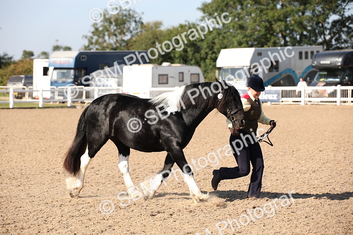 SBM_01530 - Class 15 IH Coloured