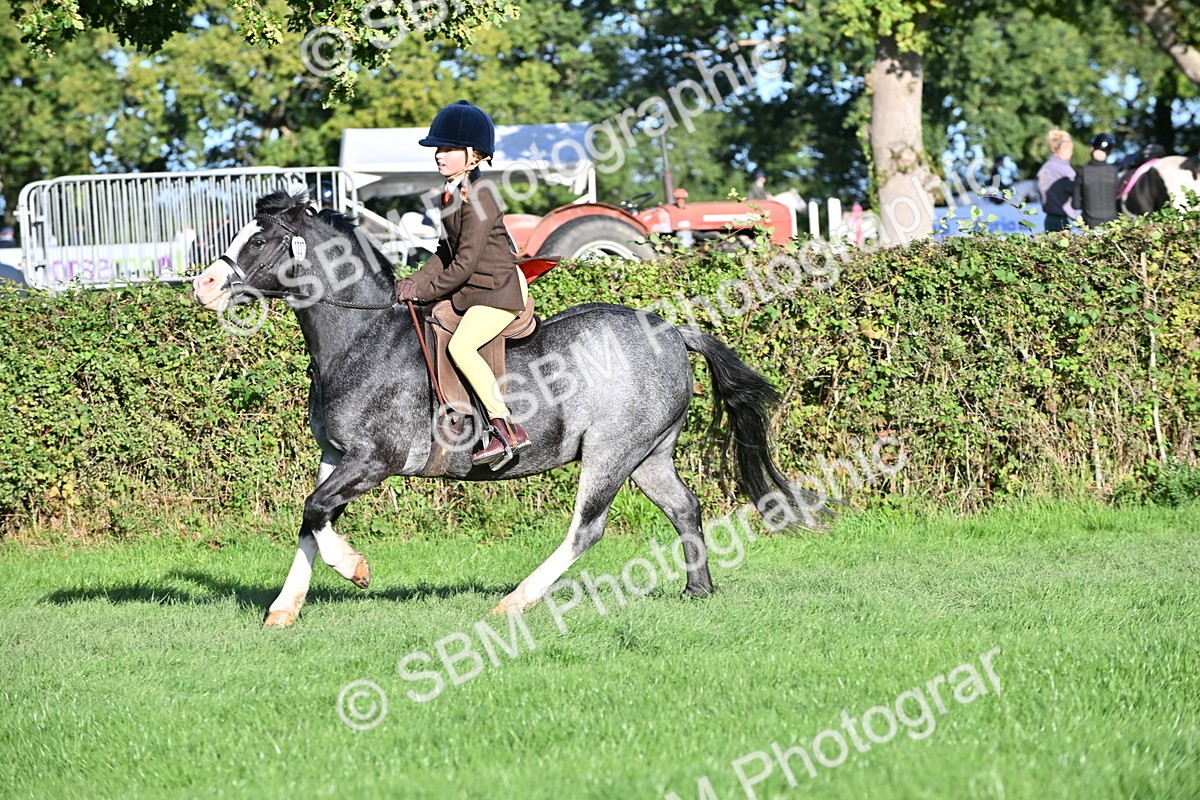 SBM_53025 - S23 - First Ridden Mountain & Moorland Pony