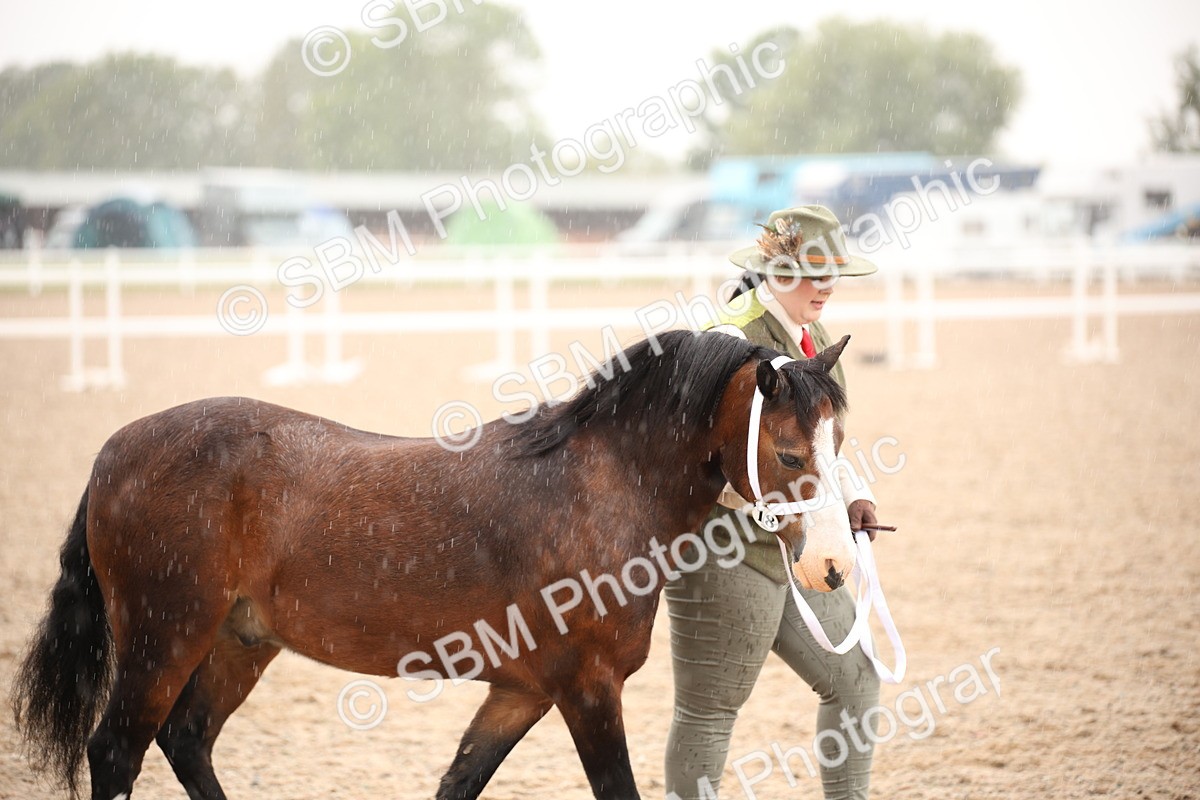 SBM_20242 - Class 704 - IH Rescue