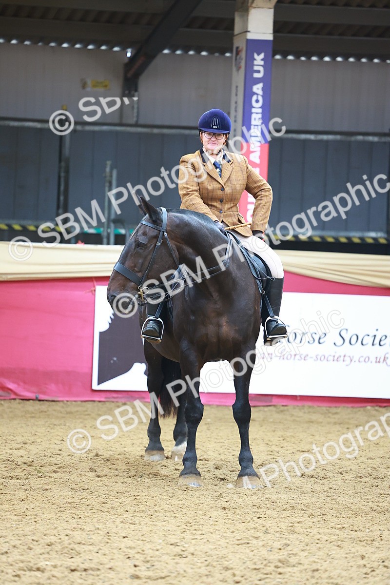 SBM_09846 - Class 102 - HOYS Veteran Qualifier - Ridden Veteran
